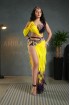 Professional bellydance costume (Classic 299 A_1)